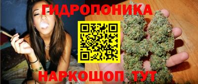 индика Изобильный