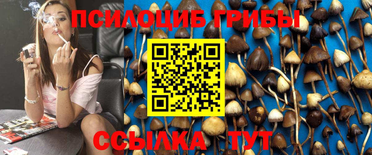 Галлюциногенные грибы MAGIC MUSHROOMS  Вход с VPN  магазин  наркотиков  Сорочинск 