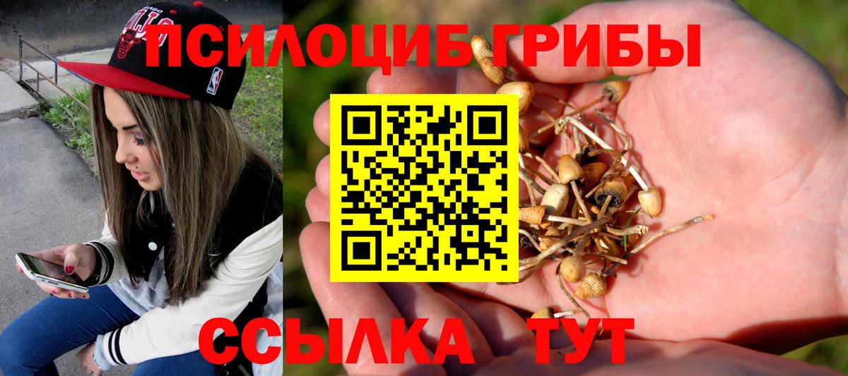 Псилоцибиновые грибы Magic Shrooms Сорочинск